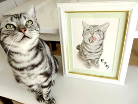 猫の絵完成と実物猫の絵の写真