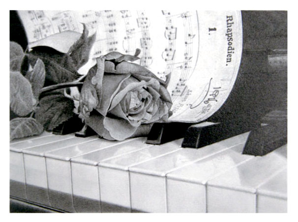枝川真理の鉛筆画教室生徒作品,薔薇とピアノ