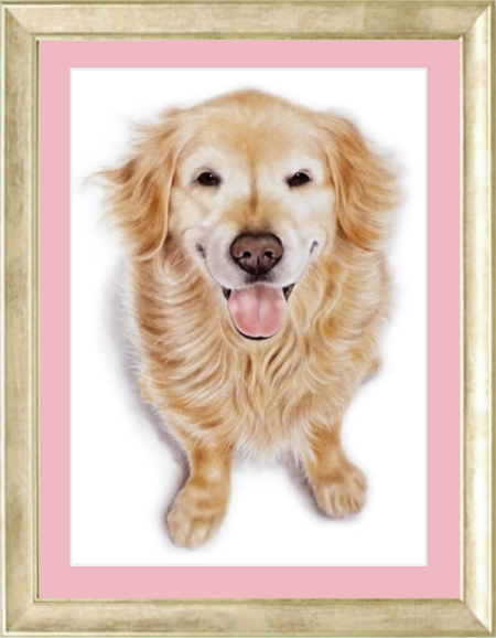ゴールデンレトリバー犬の絵、贈り物