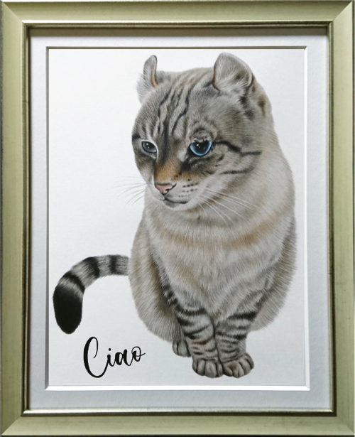 愛猫の絵ご依頼なら創業2007年の実績と信頼の愛がいっぱいペットの絵 