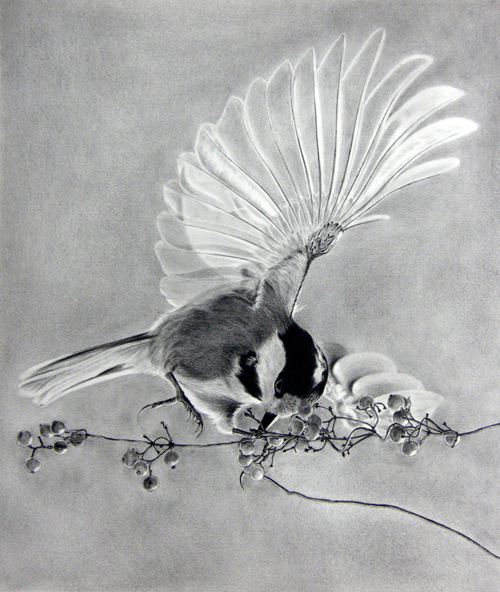 枝川真理の鉛筆画教室生徒作品,羽ばたく鳥