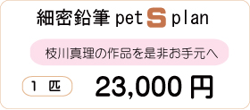 猫の肖像画Sプラン価格２３０００円