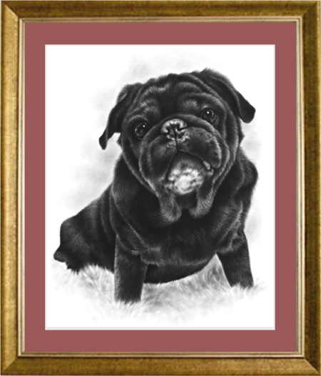 パグ犬のリアル肖像画
