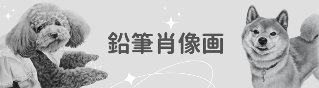 鉛筆画・ペット絵のお値段のご案内