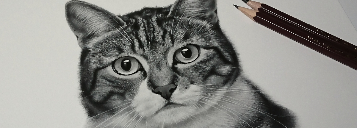 愛猫の絵プレゼント