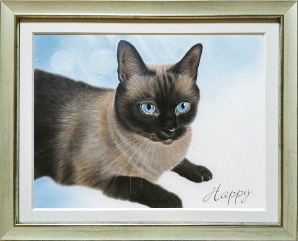 シャム猫のリアルな色鉛筆画 猫の肖像画
