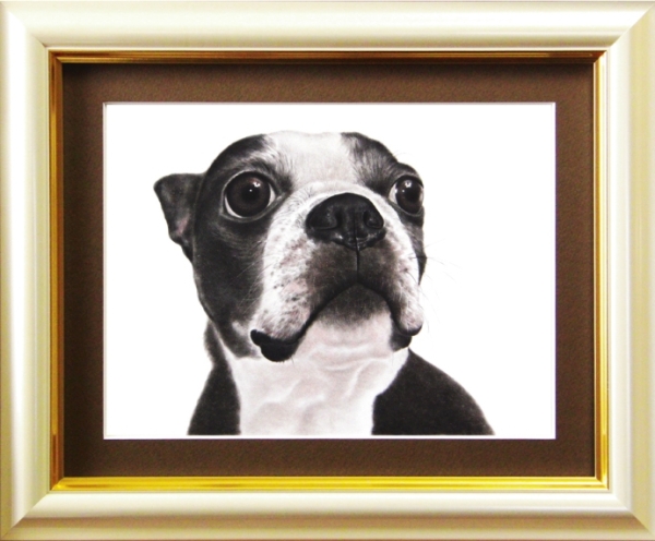フレンチブルドッグのカルビくん、愛犬の絵、ペットの絵