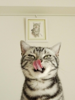 愛猫の絵プレゼント