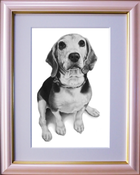ビーグルのモモちゃん、愛犬の絵、ペットの絵