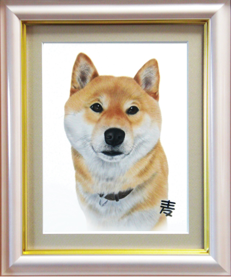 柴犬の麦ちゃん、愛犬の絵、ペットの絵