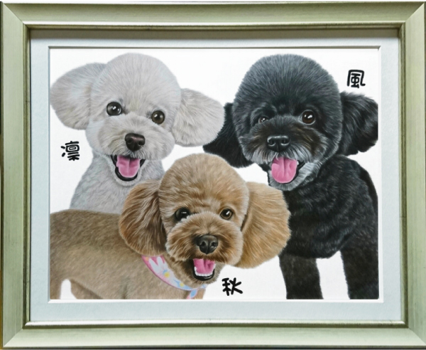 トイプードルの仲良し3匹、愛犬の絵、ペットの絵