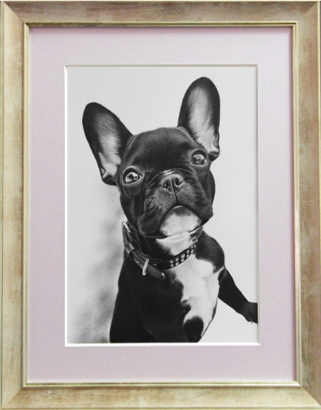 フレンチブルドッグのノアールちゃん、愛犬の絵、ペットの絵