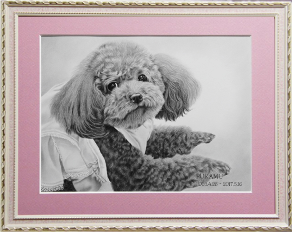 トイプードルのプラムちゃん、愛犬の絵、ペットの絵
