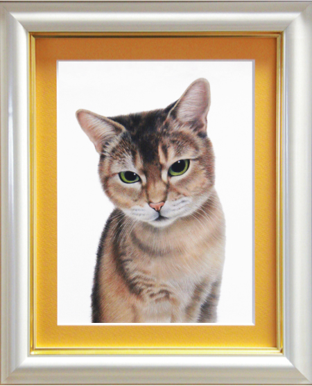 ミックス猫のリアルな色鉛筆画 猫の似顔絵