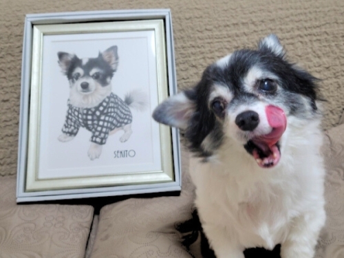 愛犬の誕生日プレゼント