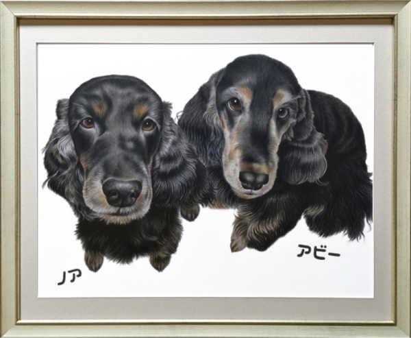 イングリッシュ・コッカー・スパニエルのノアくん・アビーちゃん、愛犬の絵、ペットの絵